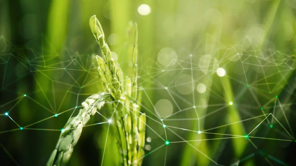 agriculture-iot-with-rice-field-background