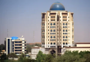 Niger employer of record